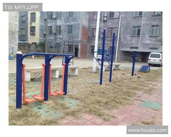 全面解析健身器材使用方法从入门到精通的实用指南