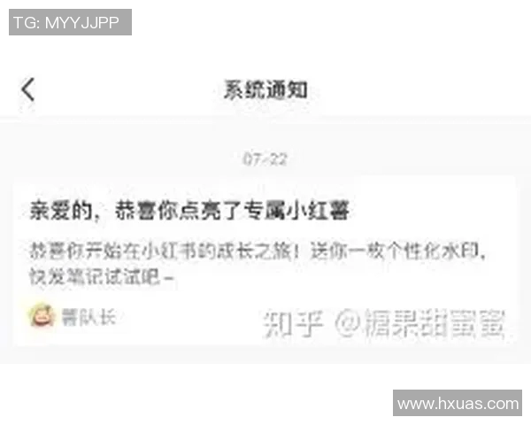 如何一步步注册体育培训公司并成功运营的详细指南